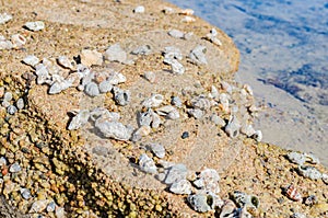 Sea coast with beautiful stones and shells