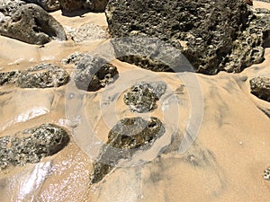 Sea coast, large gray stones on golden sand, washed by a wave