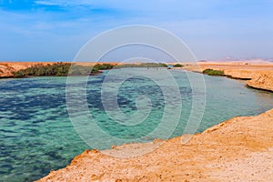 Sea coast and mangroves in the Ras Mohammed National Park. Famous travel destionation in desert. Sharm el Sheikh, Sinai Peninsula photo