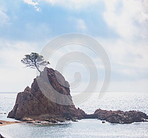 sea coast, resort, Spanish coastal city, Barcelona,Spanish coast of Catalonia, Costa Brava,