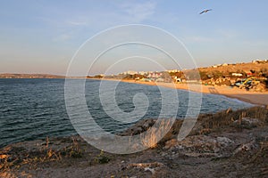 Sea coast of the resort town with a beach at sunset. Seagull over the sea in the sky