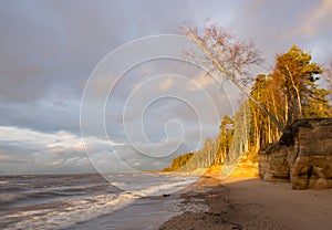 Sea coast with sandstone cliffs