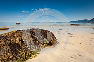 Sea coast with sandy beach,Lofoten Norway