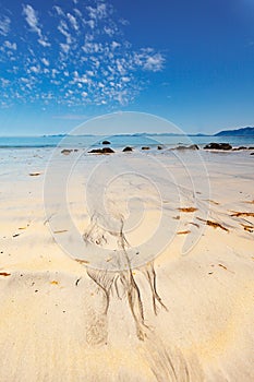 Sea coast with sandy beach,Lofoten Norway