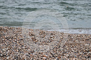 Sea coast. Seashells. Small waves. Sunny day. Best place for rest.