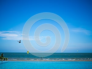 Sea coast view with parachute flying, beach activity