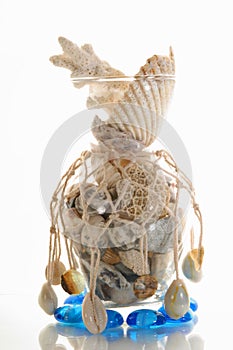 Sea cockleshells and stones