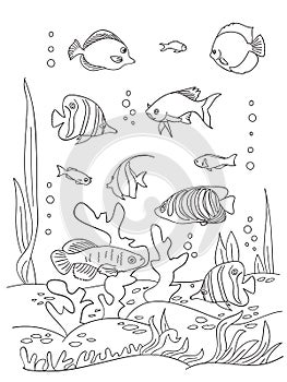 Sea coloring book page.