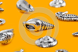 Sea conches - beach background