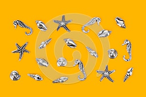 Sea conches - beach background