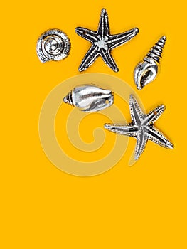 Sea conches - beach background