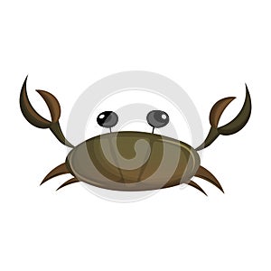 Sea crab with claws and bulging eyes.