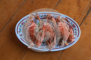 Sea crab steam