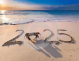 Sea crab walking on the beach 2025 written in sand
