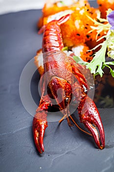 Sea crawfish and sushi on a slate dark plate with liquid smoke