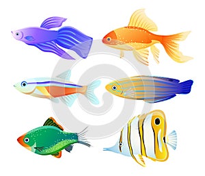 Sea Creature Illustration for Educational Poster