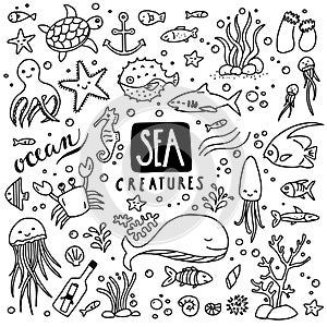 Sea Creatures Doodles