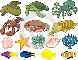 Sea Creatures photo