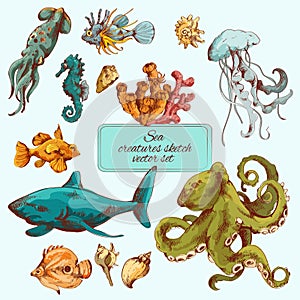 Sea creatures sketch colored