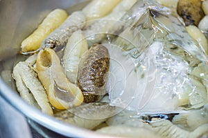 Sea cucumber for cooking