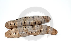 Sea cucumbers isolated on white background, echinoderms from the class Holothuroidea, marine animals with a leathery skin photo