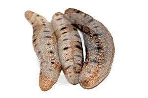 Sea cucumbers isolated on white background, echinoderms from the class Holothuroidea, marine animals with a leathery skin photo