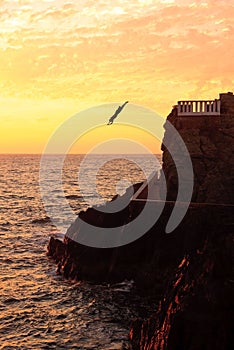 Sea Diver at Mazatlan