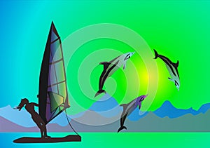 Sea, dolphins and windsurfer