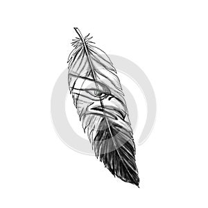 Sea Eagle Feather Tattoo