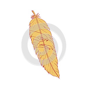 Sea Eagle Head Inside Feather Drawing