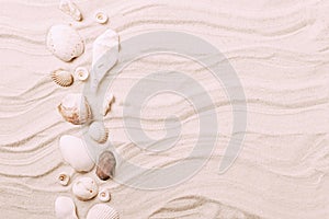 Sea exotic seashells molluscs seashells white beach sand. Summer vacation travel concept. Postcard template copy space
