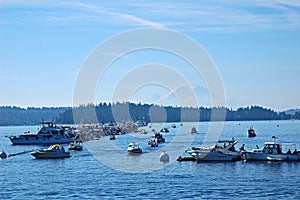 Sea Fair and Mt Rainier, Seattle