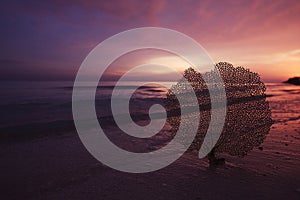 Sea fan on  sand beach, with ocean sky and seascape, early sunrise time