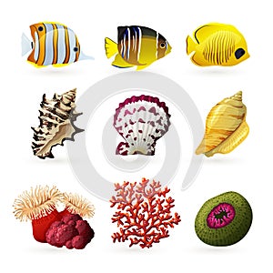 Sea Fauna Icons