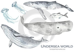 Sea fish, blue whale, humpback whale, sperm whale, jellyfish watercolor set underwater world