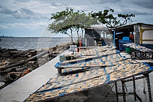 Sea fish are carved and dried at Laem Chabang Fishing Village