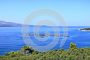 sea fish farm cages and fishing nets in albania