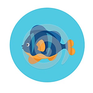 Sea fish flat icon