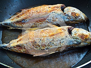 Sea fish frying in a Pan