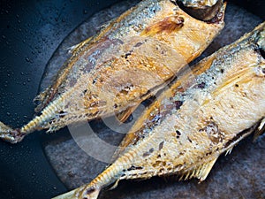 Sea fish frying in a Pan