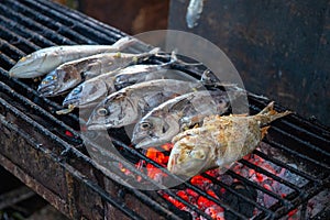 Sea fish on grill. Grilled seafood dinner cooking photo. Healthy fresh food. Nutritional diet dish. Sea fish barbecue