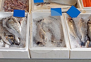 Sea fish on ice sold on market