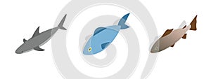 Sea fish icon set, isometric style