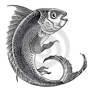 Sea fish jumping hand draw vintage engraving style black and white clip art isolated on white background