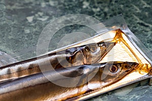 Sea fish saury in vacuum packaging