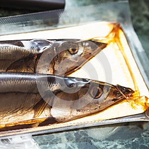 Sea fish saury in vacuum packaging