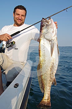 Sea fishing. Big Meager fish salmon bass