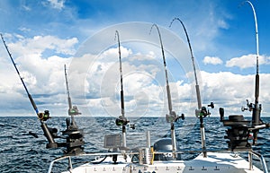 Sea fishing trolling scenery