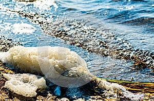 Sea foam forming on the shore of a beach