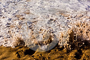 Sea Foam Froth and Bubbles Close Up